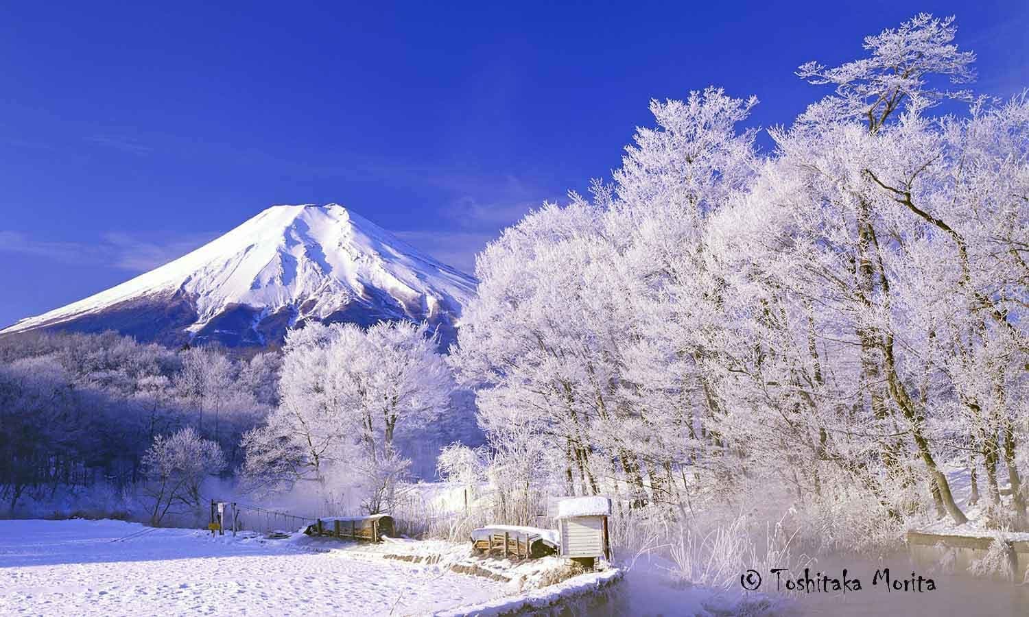 霧氷の花が咲いた桂川から富士山雪晴れ